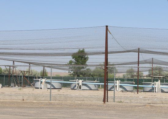 Hagerman State Fish Hatchery